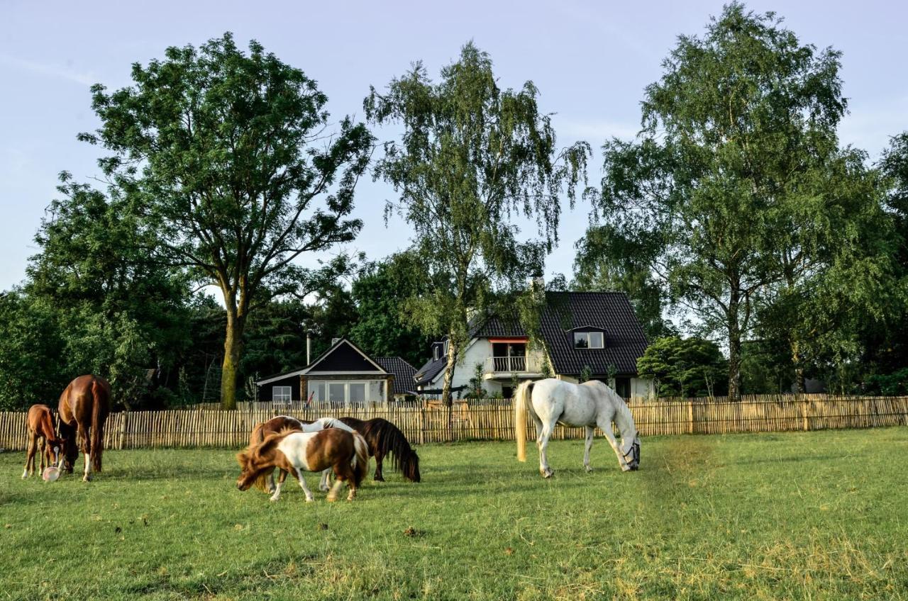 Bed & Breakfast De Zandhoef 일서 외부 사진